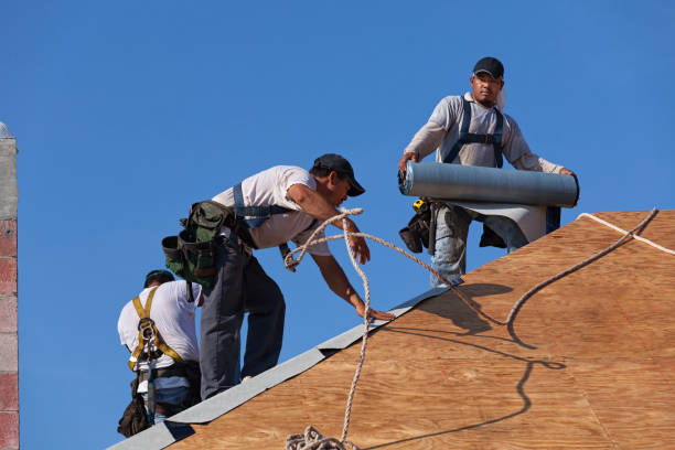 Best New Roof Installation  in Loogootee, IN