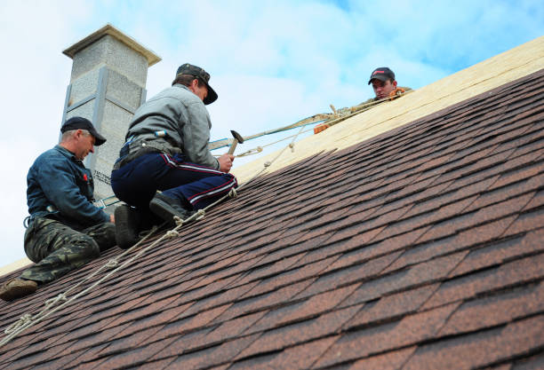Best Roof Installation Near Me  in Loogootee, IN