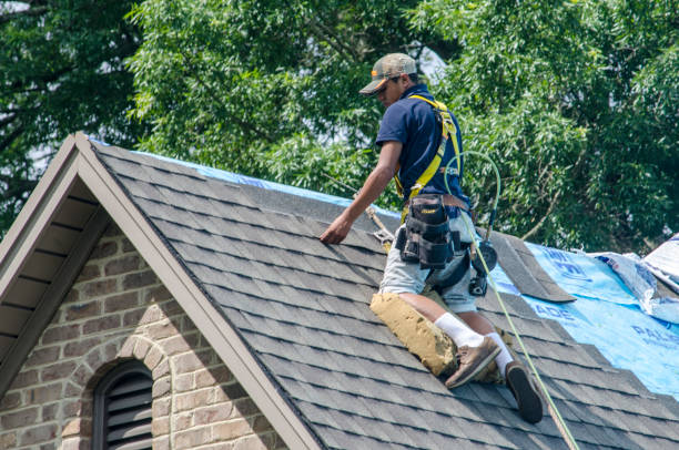 Best Roof Replacement Cost  in Loogootee, IN